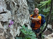 20 Ciclamino tra le rocce...